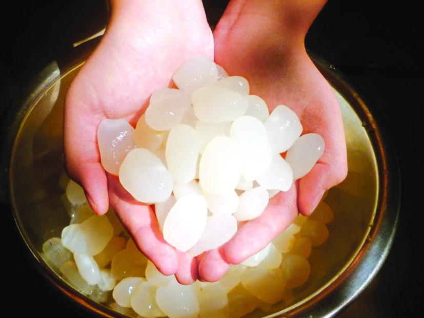 Ngọc của rừng - Ảnh 2. Ngọc của rừng - Ảnh 2.