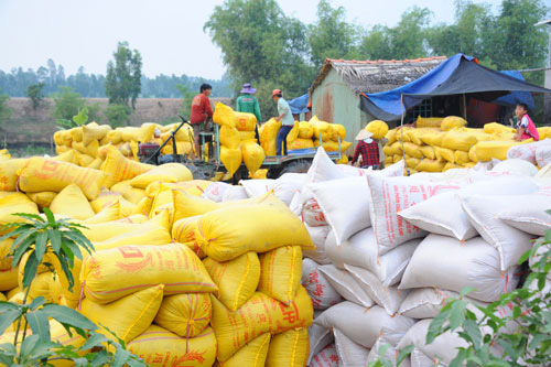 Cục An ninh Kinh tế tổng hợp, Bộ Công an tham gia đoàn kiểm tra về xuất khẩu gạo - Ảnh 1.