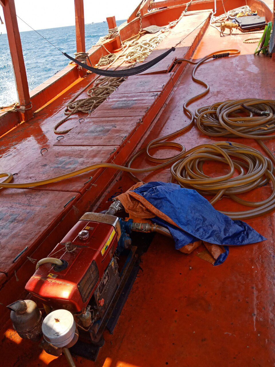 Chi cục Thủy sản Cà Mau vén màn “bí mật” bên trong 9 khoang của tàu cá - Ảnh 2.