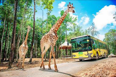 Giữa tâm bão dịch Covid-19, Vinpearl Safari đón bé tê giác mới chào đời với cái tên Chiến thắng - Ảnh 9.