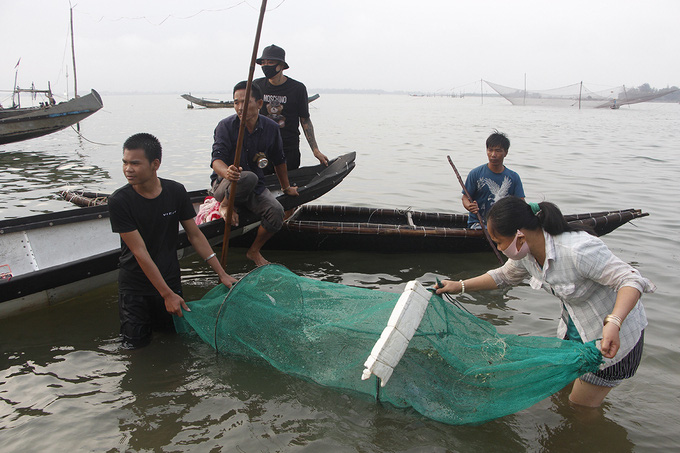 Đàn cá kình con vào sát kè biển Thuận An, nhiều người lao xuống vây bắt - Ảnh 3.