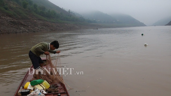 Nín thở theo dấu đàn cá ngon trên sông Đà - Ảnh 1.