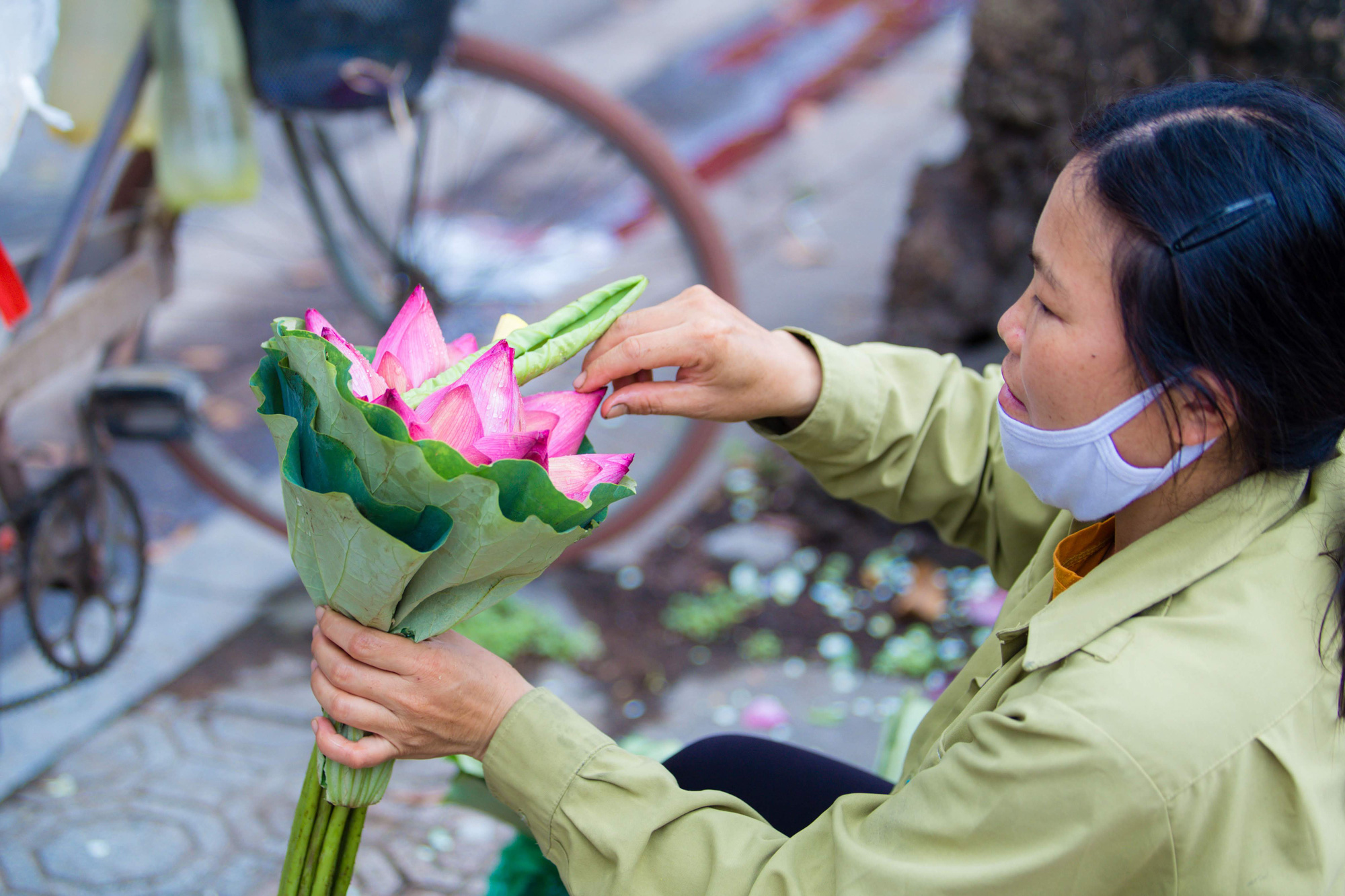 Hoa sen đầu mùa rục rịch lên phố - Ảnh 8.