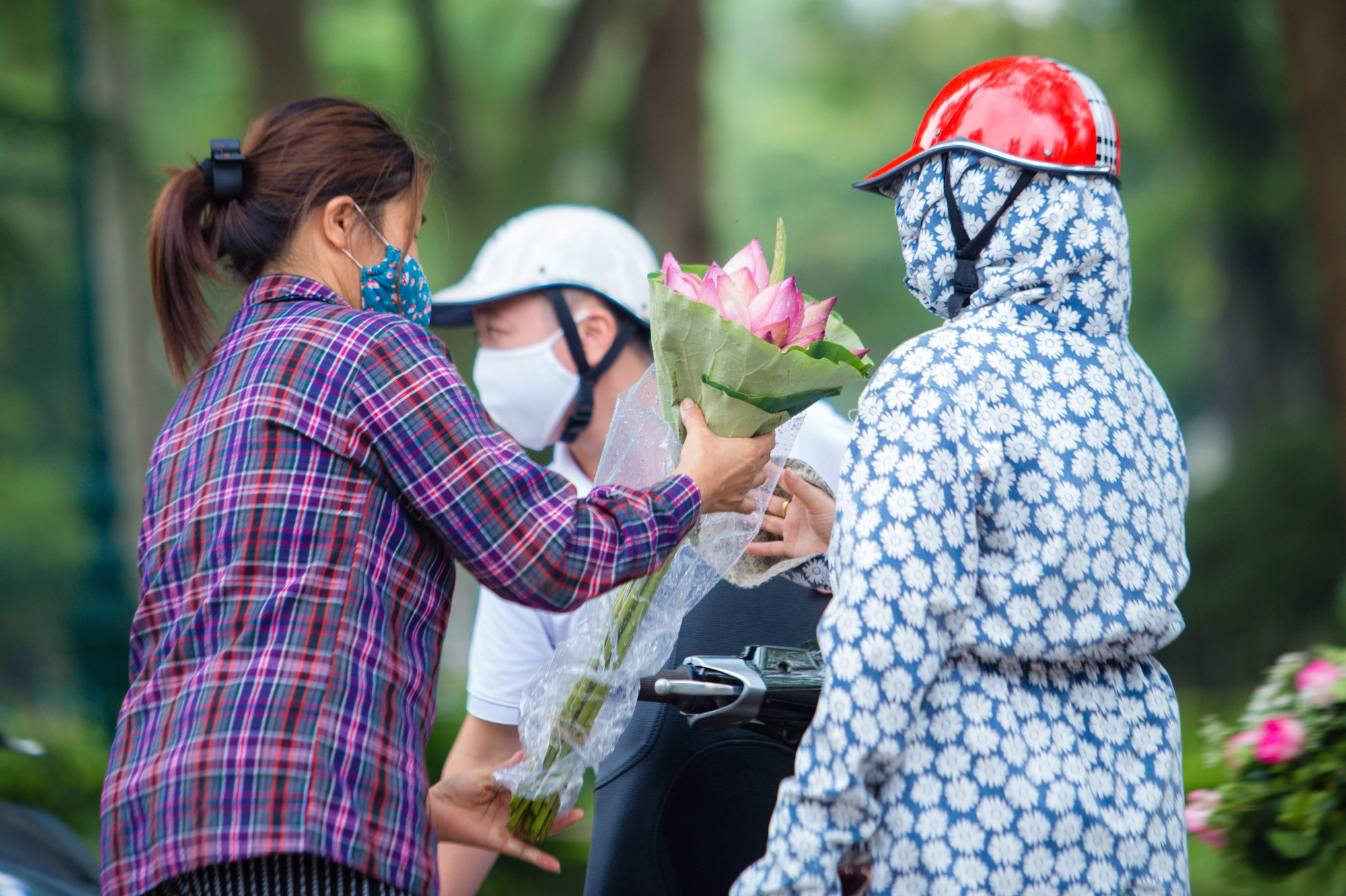 Hoa sen đầu mùa rục rịch lên phố - Ảnh 9.