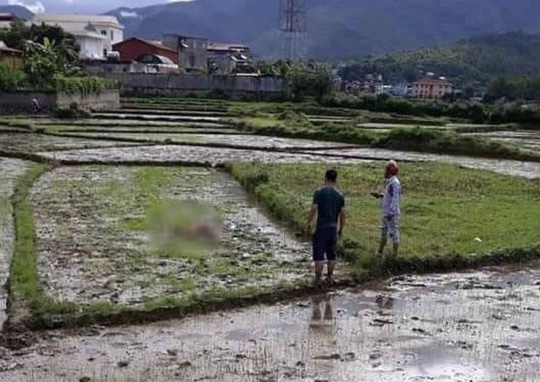 Thảm án kinh hoàng, 3 người tử vong với nhiều vết thương - Ảnh 1.