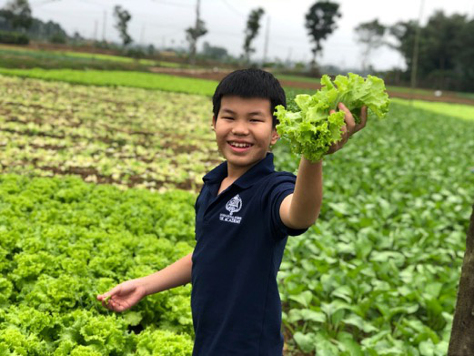IEC Quảng Ngãi: 365 ngày phụng sự trong yêu thương - Ảnh 4. IEC Quảng Ngãi: 365 ngày phụng sự trong yêu thương - Ảnh 4.
