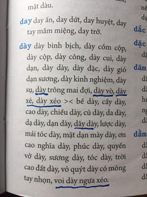 “TỪ ĐIỂN CHÍNH TẢ” SAI CHÍNH TẢ! (*): Nhiều lỗi nặng đến khó tin - Ảnh 2.