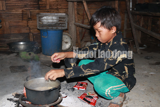 Thực hư chuyện 4 em nhỏ ăn cơm nguội với ve sầu - Ảnh 4.