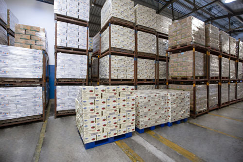 Vinamilk xuất khẩu 85 container sản phẩm sữa sang Hàn Quốc - Ảnh 1.