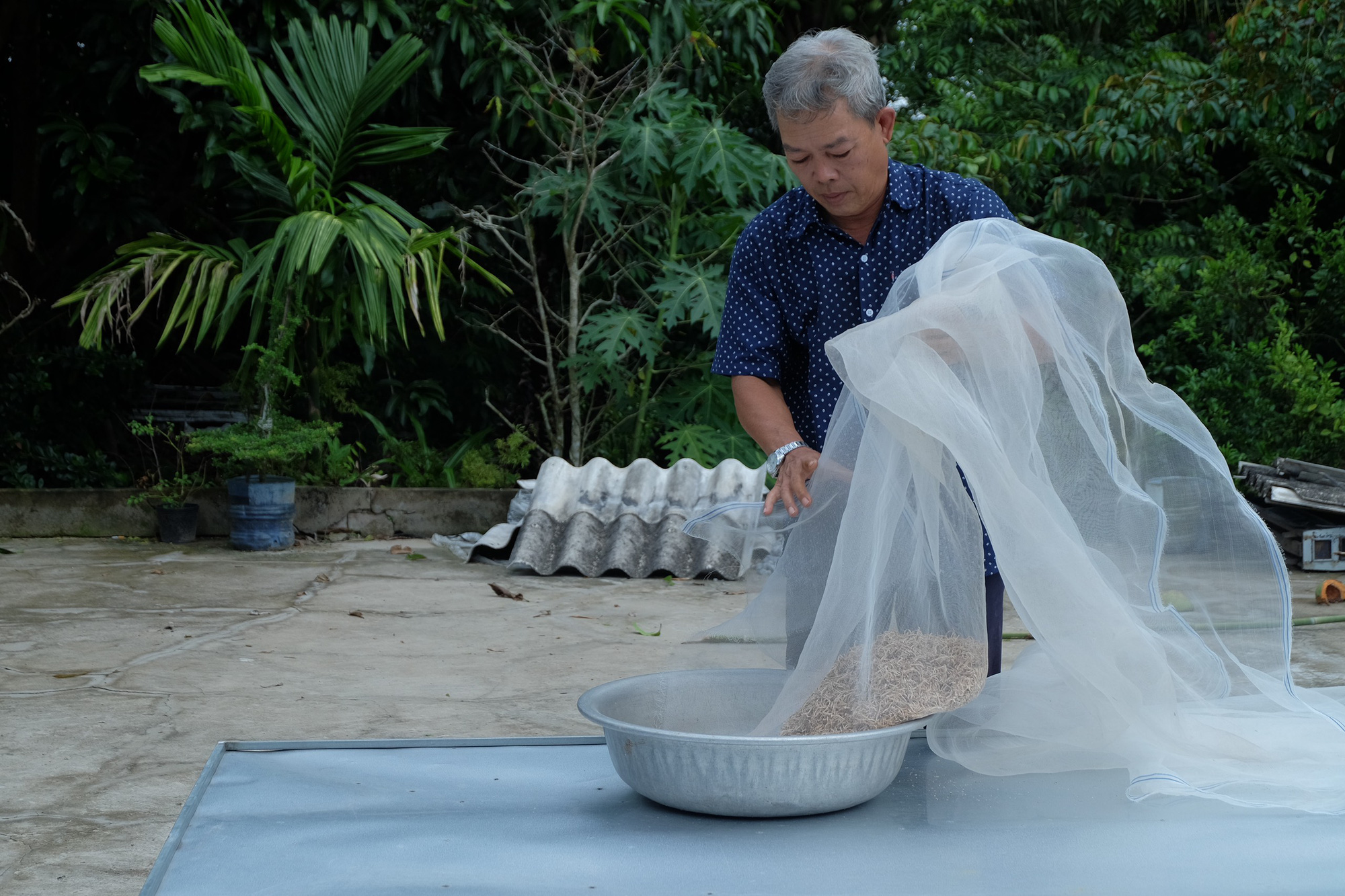 Biến trái mãng cầu xiêm giá cả bấp bênh thành “thần dược” - Ảnh 1.