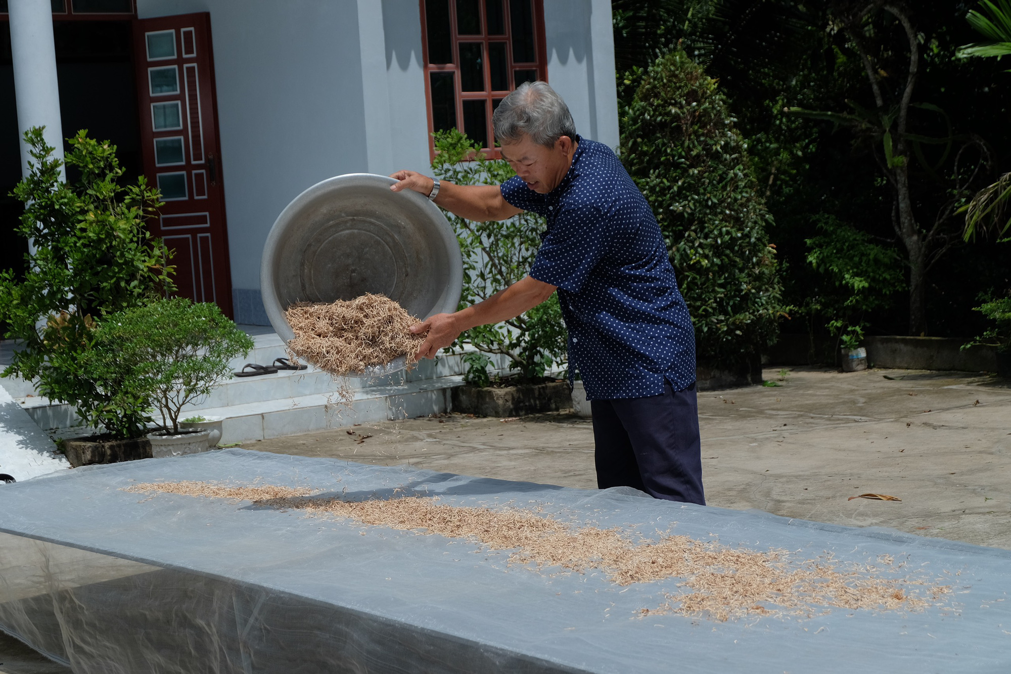 Biến trái mãng cầu xiêm giá cả bấp bênh thành “thần dược” - Ảnh 2.