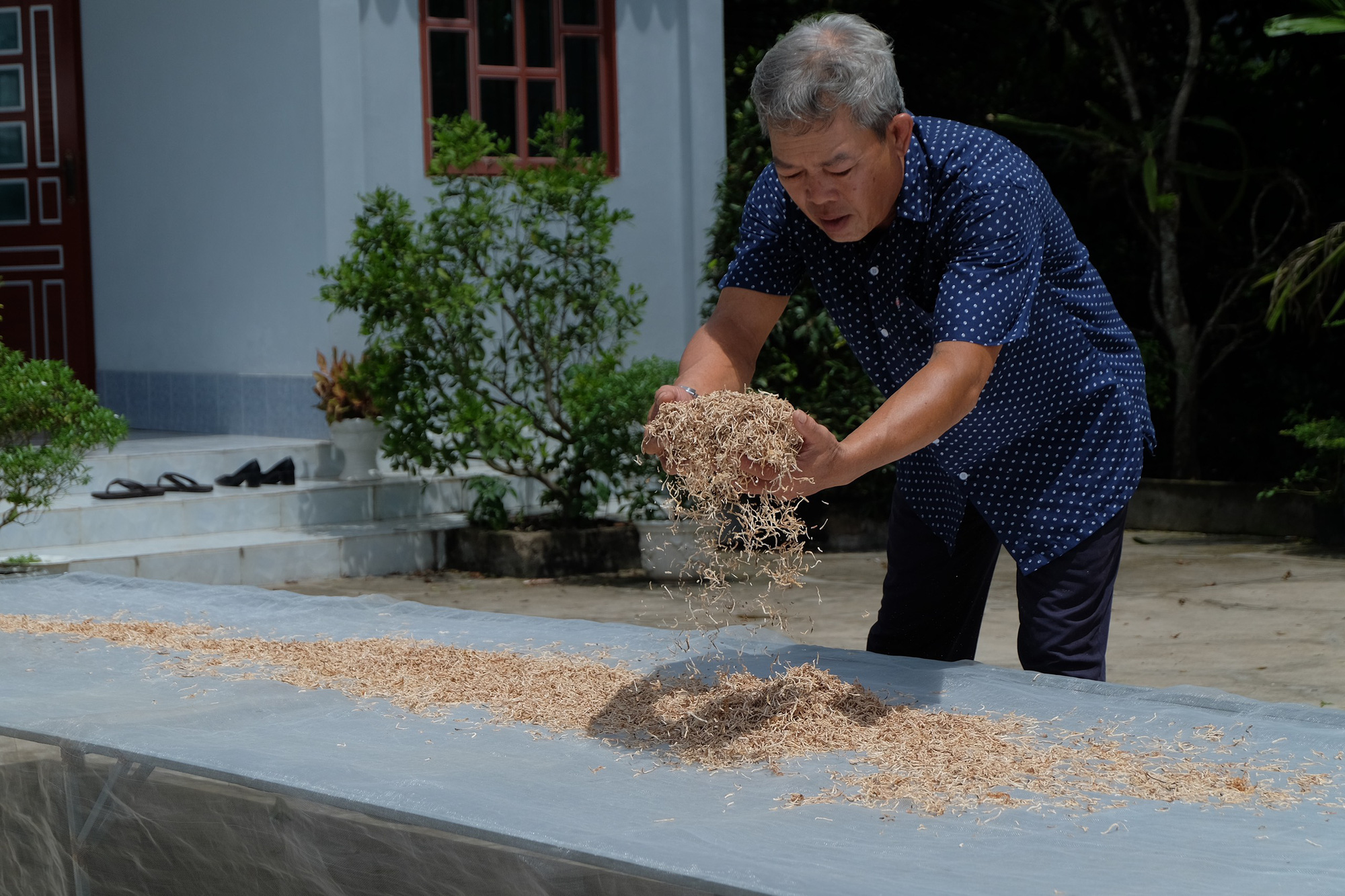 Biến trái mãng cầu xiêm giá cả bấp bênh thành “thần dược” - Ảnh 5.