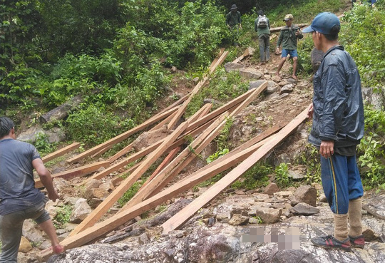 Lâm tặc ngang nhiên phá rừng phòng hộ, vận chuyển gỗ giữa ban ngày - Ảnh 1.