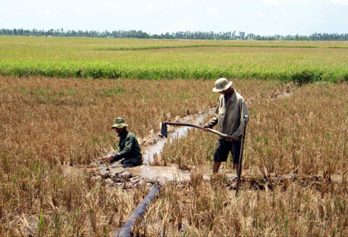 Lũ lớn giảm nhiều, hạn mặn thường xuyên hơn - Ảnh 1.