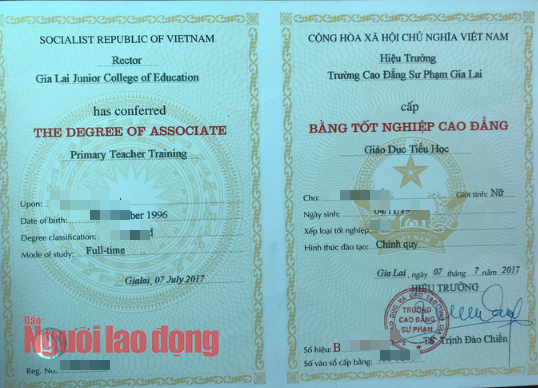 Đau lòng học Cao đẳng sư phạm, không được tuyển dụng giáo viên tiểu học - Ảnh 1.