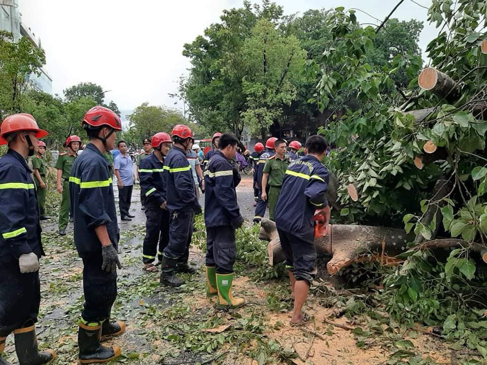 Nhà tốc mái, cây xanh, trạm điện gãy sập vì bão số 5 - Ảnh 9.