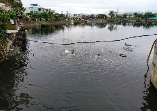 Người dân lo “mất Tết vì sống cạnh hồ điều tiết quanh năm ô nhiễm ở Đà Nẵng - Ảnh 2.