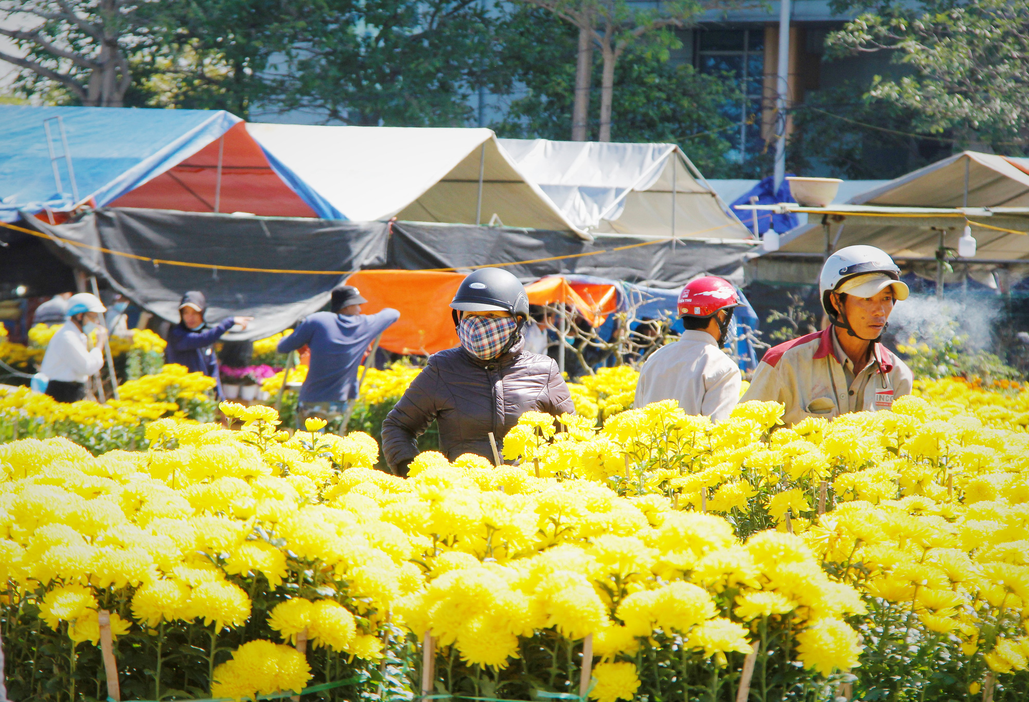 Tiểu thương Đà Nẵng dọn hàng sớm trước cảnh đìu hiu chợ 30 Tết - Ảnh 12.