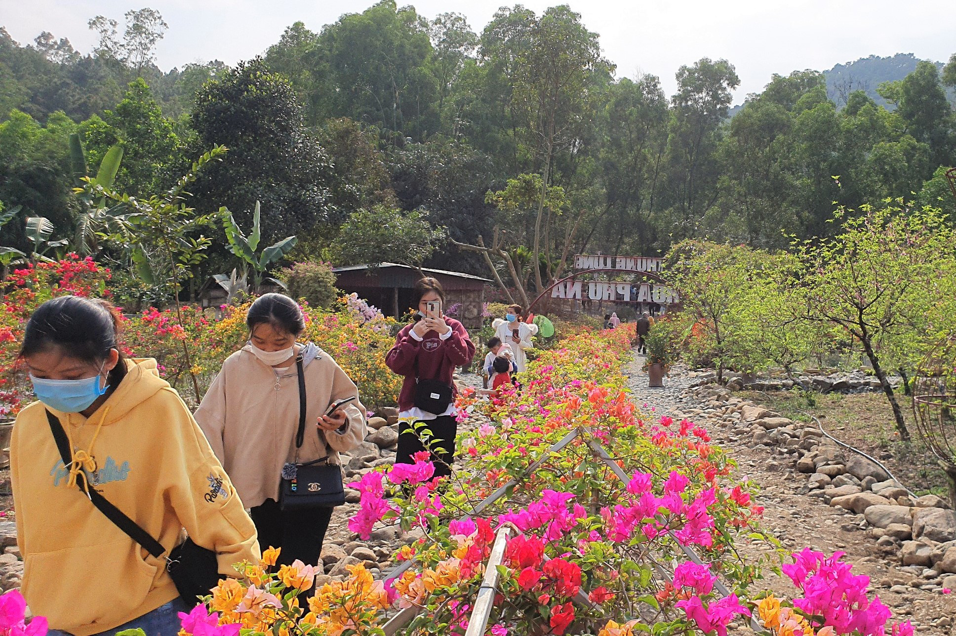 Thung lũng ngàn hoa - điểm check in lý tưởng của giới trẻ khi đến với Phủ Na - Ảnh 2.