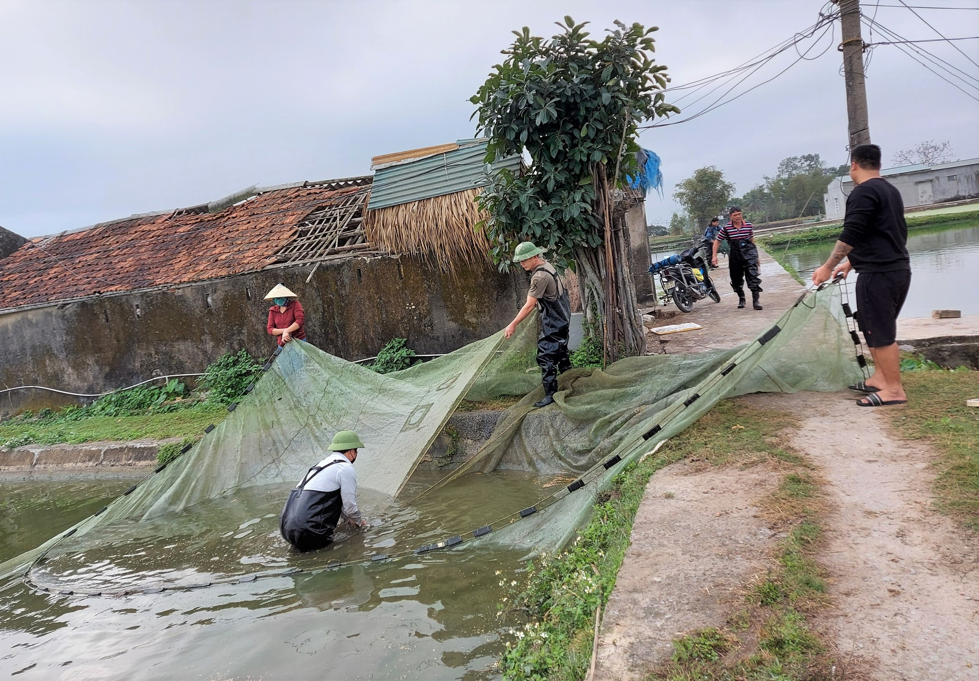 Làng nuôi phương tiện ông Công, ông Táo về trời thắng lớn do giá cả tăng cao - Ảnh 3.