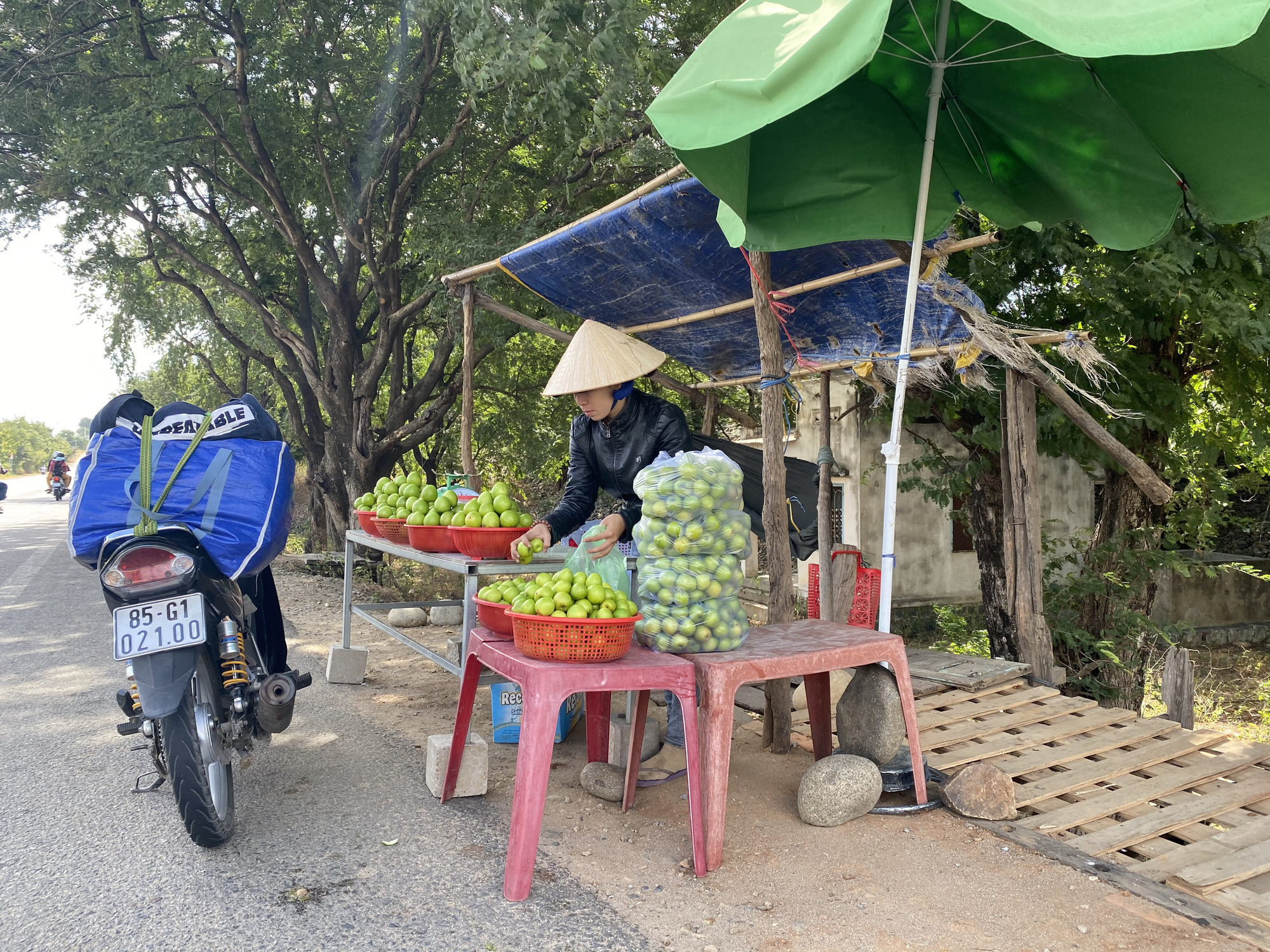 Cuộc thi Làm báo cùng Báo Người Lao Động: Tìm đâu mùi Tết trên từng chuyến xe? - Ảnh 2.