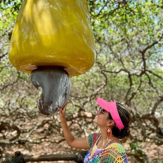 Cây đào lộn hột lớn nhất thế giới - Ảnh 9.