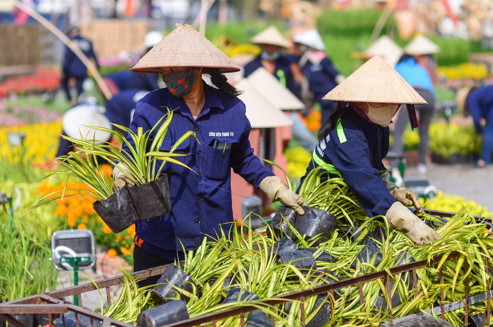 Đường hoa Nguyễn Huệ Tết Tân Sửu 2021 lộ diện trước ngày khai mạc - Ảnh 2.