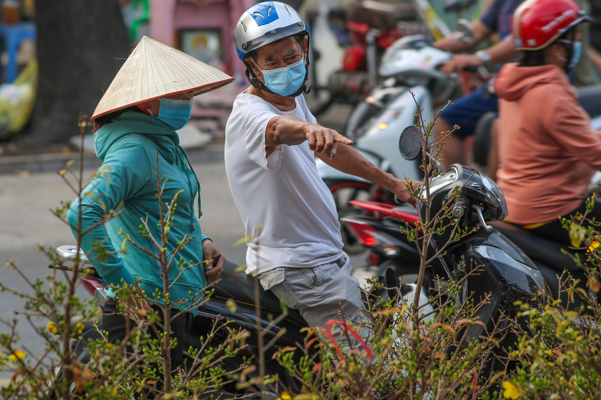 Rộn ràng chợ hoa Xuân “Trên bến dưới thuyền” ở TP HCM - Ảnh 3.