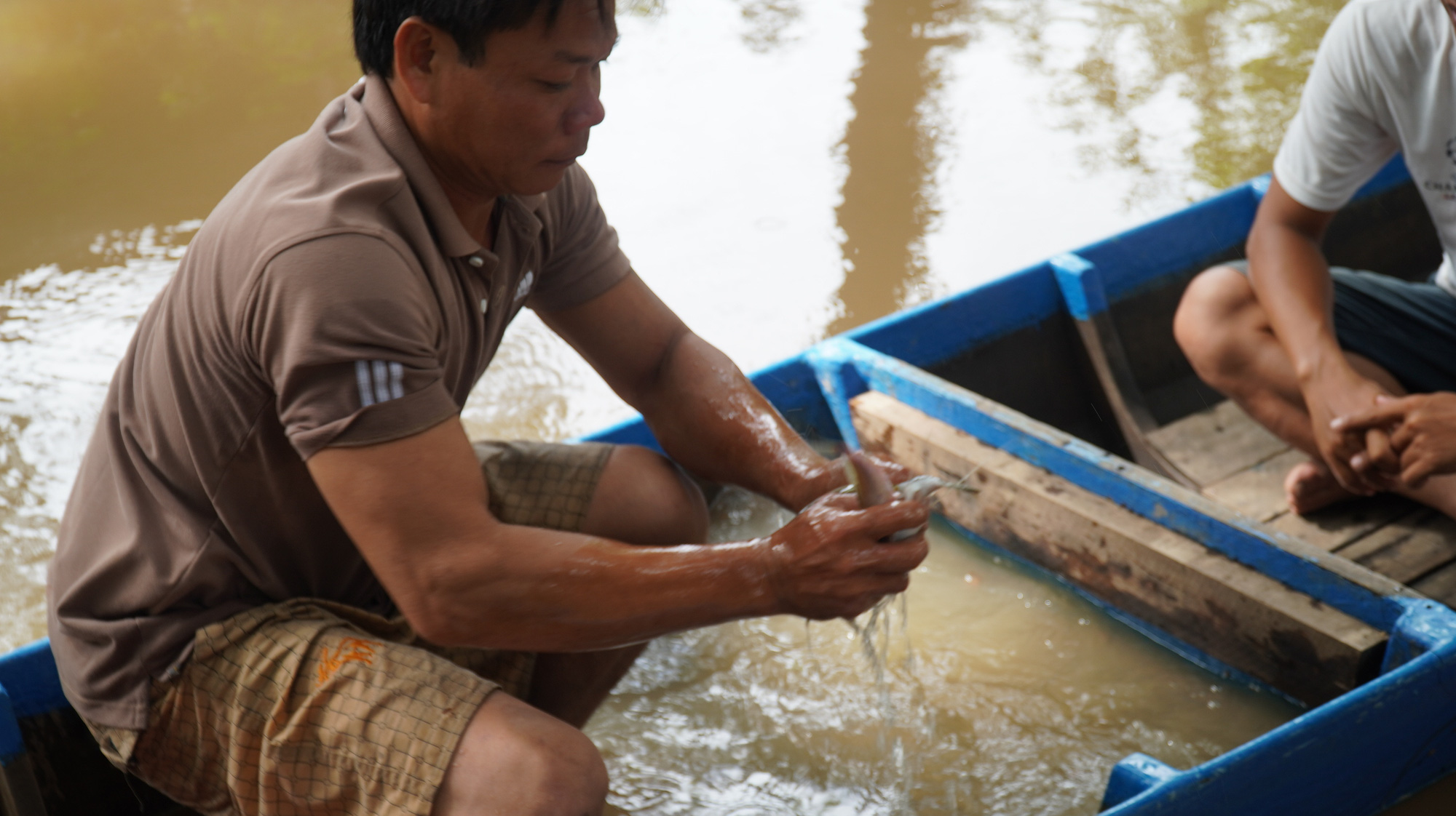 VIDEO: Sướng với cảnh dùng tay không bắt tôm, cá khủng trên sông Hậu - Ảnh 7.