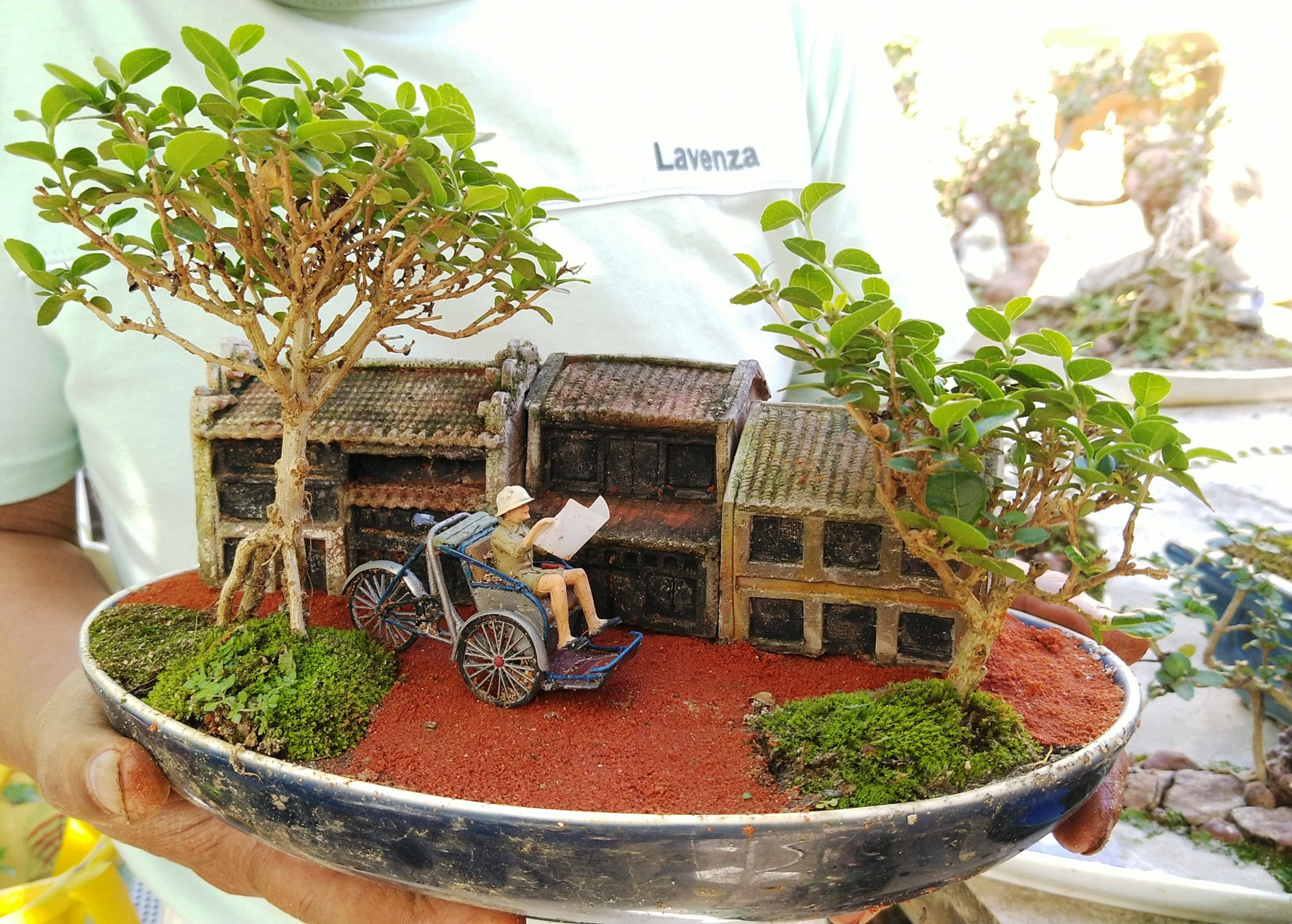 Chiêm ngưỡng bộ sưu tập kỷ lục thế giới 5.600 cây bonsai và tiểu cảnh mini - Ảnh 5.