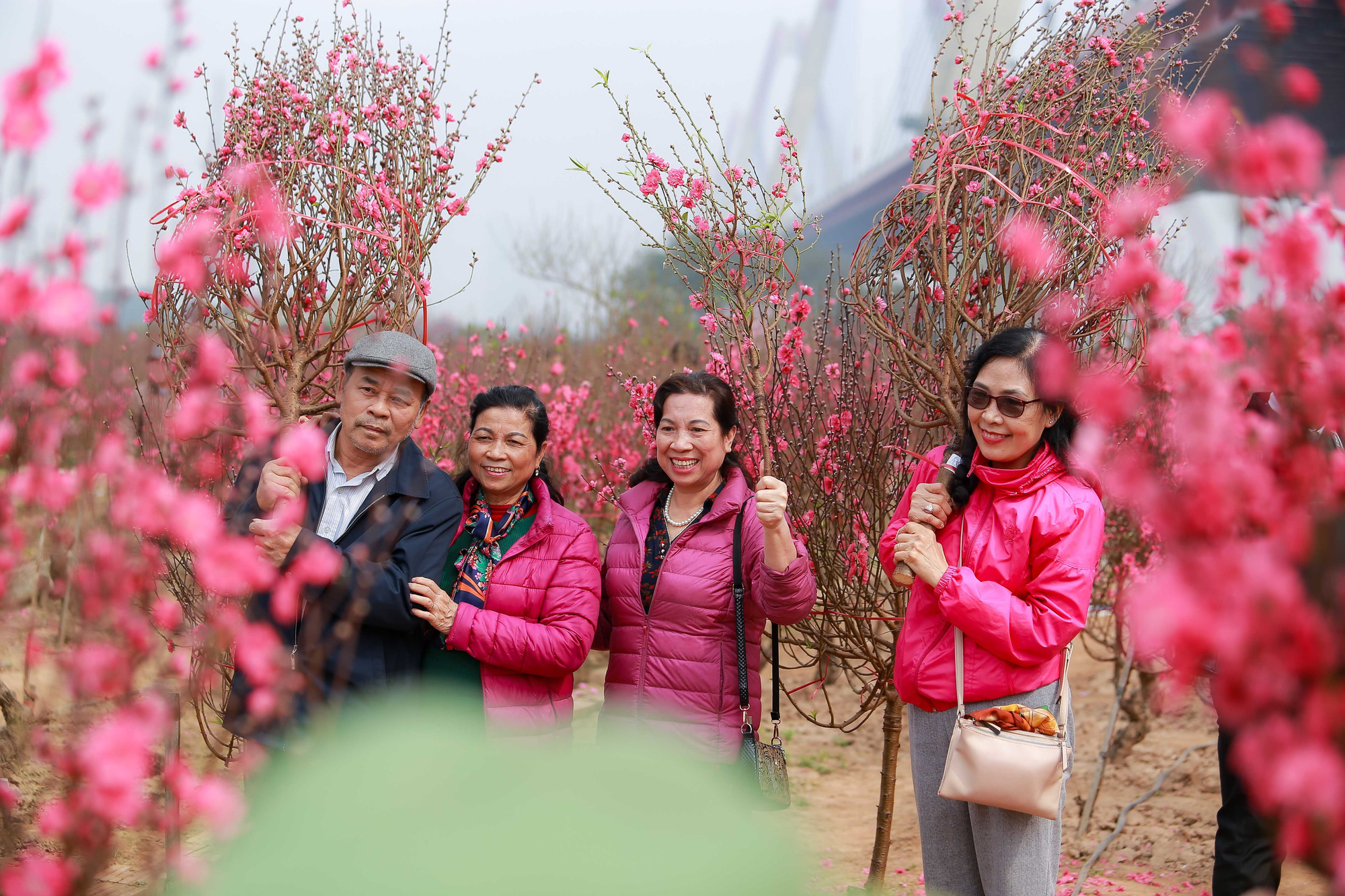 Làng đào Nhật Tân đỏ rực những ngày cuối năm - Ảnh 5.