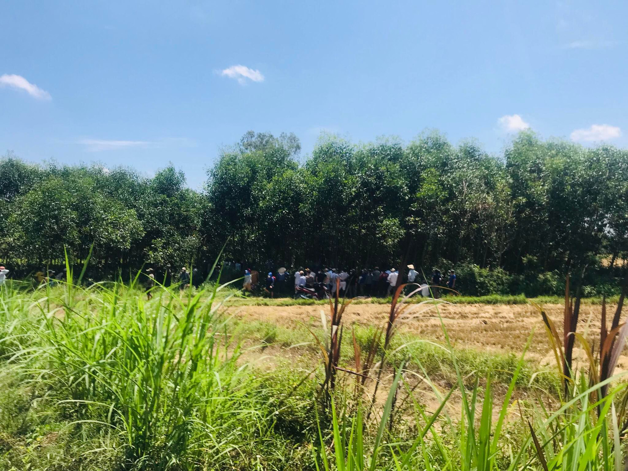Quảng Nam: Người đàn ông chết bên đường, nghi sốc ma túy - Ảnh 1. Quảng Nam: Người đàn ông chết bên đường, nghi sốc ma túy - Ảnh 1.