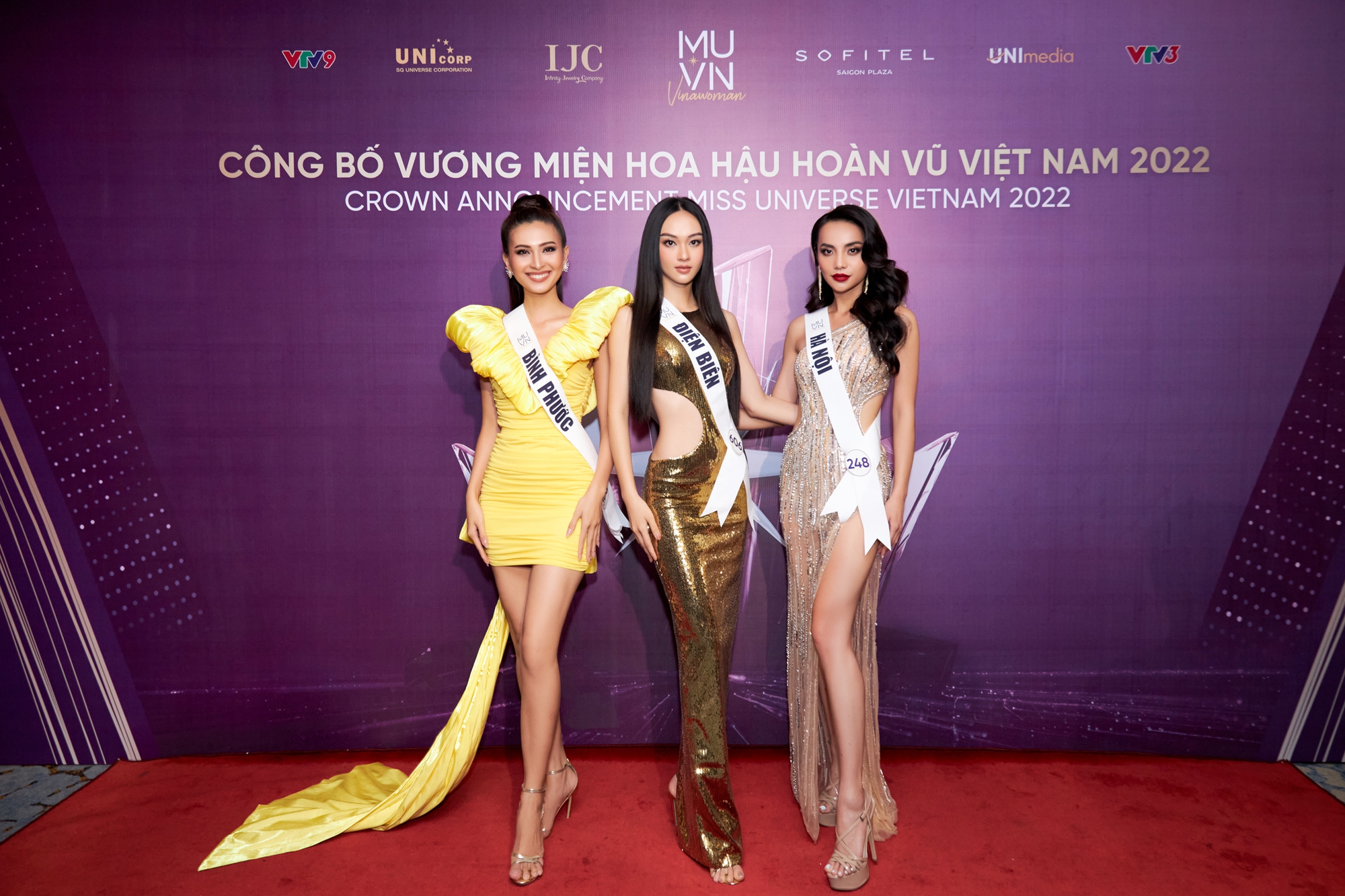 Cận cảnh chiếc vương miện gắn hơn 2.000 viên kim cương của Tân hoa hậu Hoàn vũ - Ảnh 6. Cận cảnh chiếc vương miện gắn hơn 2.000 viên kim cương của Tân hoa hậu Hoàn vũ - Ảnh 6.