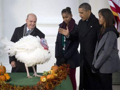 Obama và con gái trong ngày lễ tạ ơn