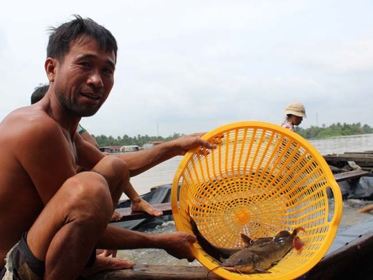 Anh Liên và nhiều người nuôi cá ở TP Biên Hòa (Đồng Nai) đang vui mừng vì vụ mùa cá năm nay lãi cao.