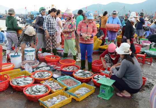 Đà Nẵng thí điểm đấu giá hải sản ở chợ đầu mối - Ảnh 2.