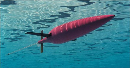 Một chiếc Seaglider . Ảnh: Anfog