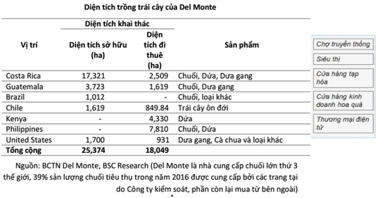 Quy mô trái cây của HAGL lớn đến mức nào? - Ảnh 2.