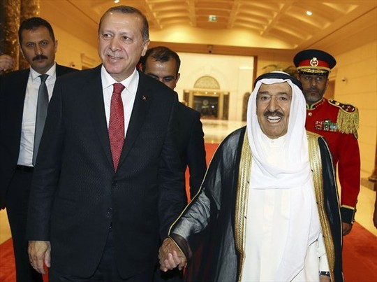 Tổng thống Thổ Nhĩ Kỳ tới vùng Vịnh - Ảnh 1.