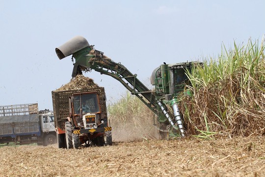 Lượng đường tồn kho kỷ lục - Ảnh 1.