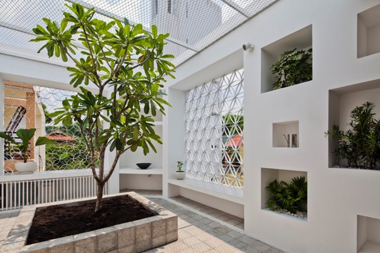 Căn nhà nhiều cửa sổ lạ mắt giống lồng chim giữa con hẻm Sài Gòn - Ảnh 11.