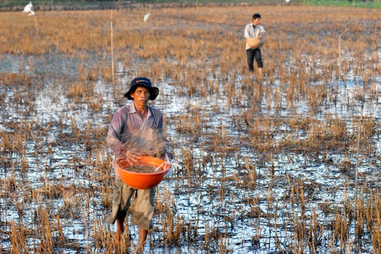 Phòng tránh thiệt hại khi lũ về sớm - Ảnh 1.