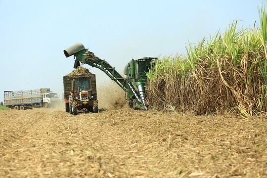 Ngành đường lại kêu cứu - Ảnh 1.