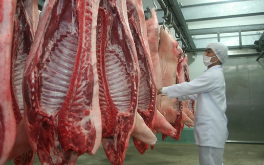 
Giá thịt lợn tại các siêu thị vẫn ở mức cao!
