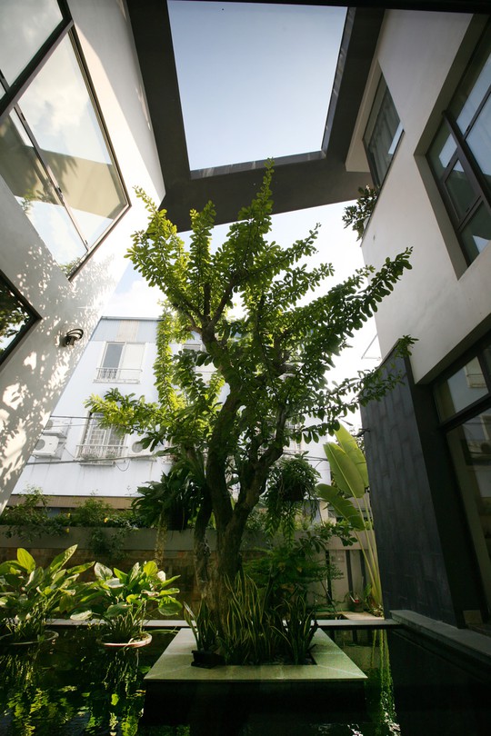 Biệt thự 700 m2 thiết kế tinh tế ở Hà Nội - Ảnh 16.