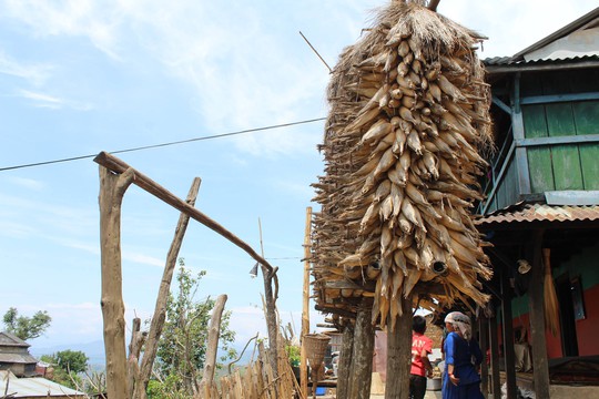 Cuốc bộ và quá giang ở Nepal  - Ảnh 2.