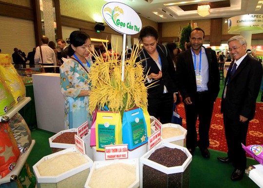 Ngắm những mô hình nông nghiệp độc đáo của Việt Nam tại APEC - Ảnh 2.