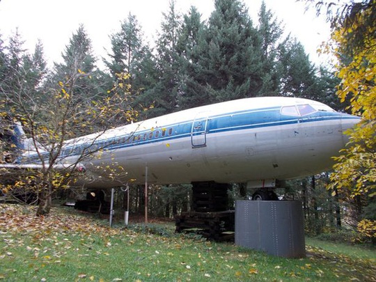 Khám phá ngôi nhà máy bay nằm giữa rừng ở Mỹ - Ảnh 2.