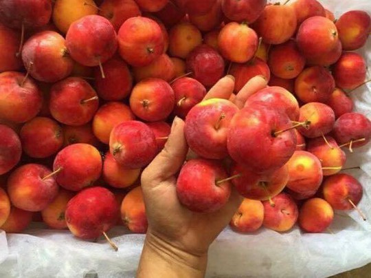 5 loại táo Trung Quốc đang bán đầy chợ Việt, người mua dễ nhầm lẫn - Ảnh 5.
