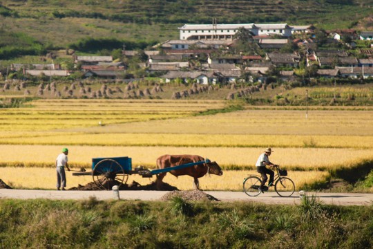 Triều Tiên, những điều bất ngờ - Ảnh 25.